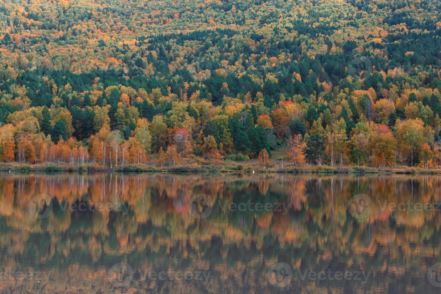 Autumn reflections lake photo