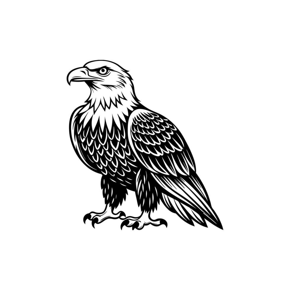 unique bald eagle vector
