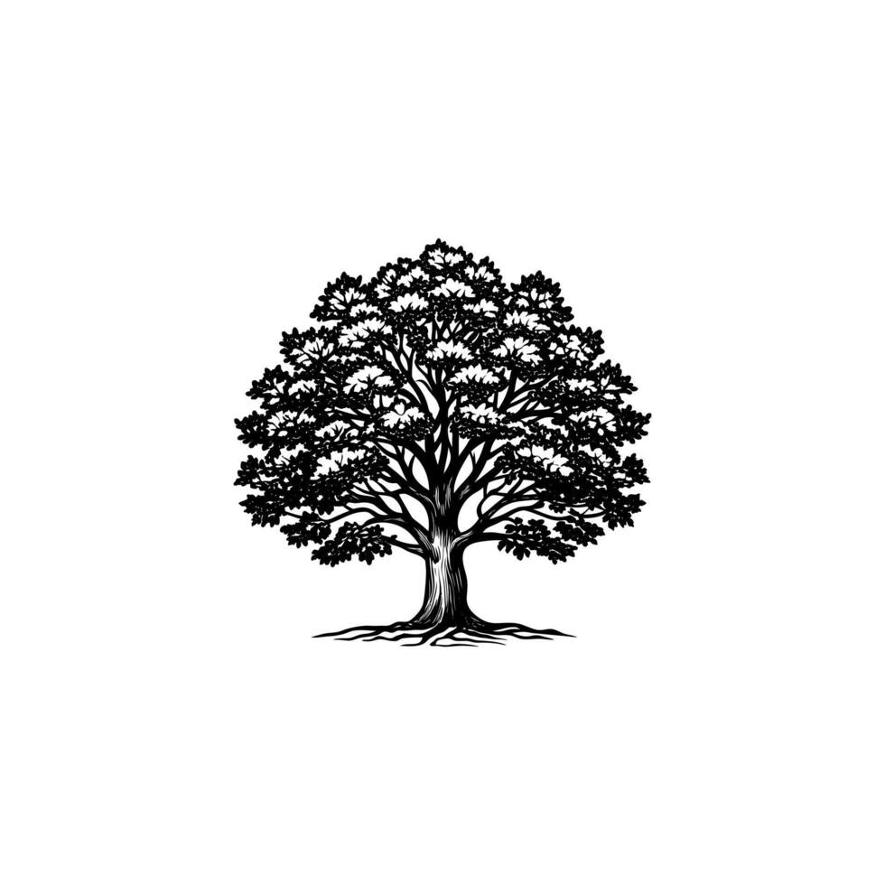 The Mighty Oak A Tree of Endurance and History vector