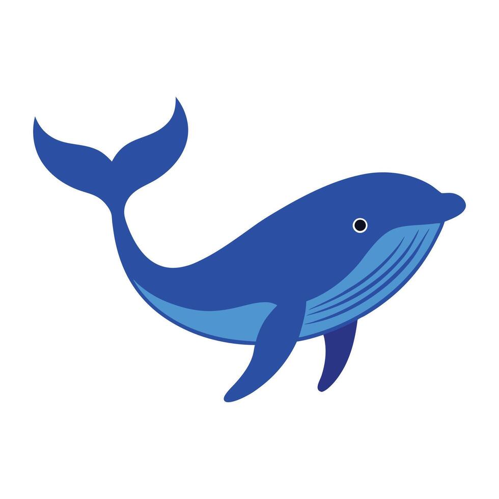 A blue whale with a long tail on a white background vector
