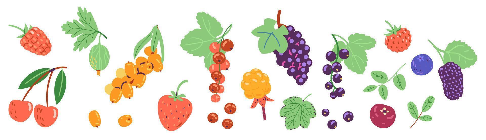 Berries and leaves illustrations set isolated on white. vector