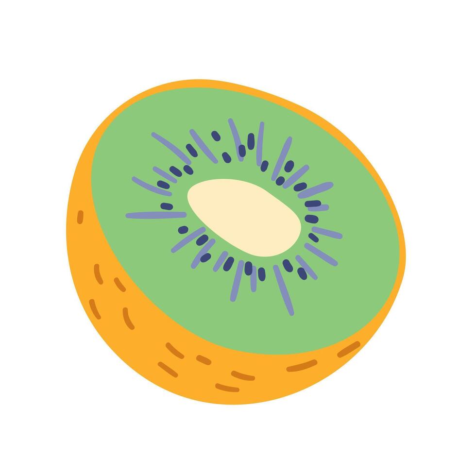 Kiwi half doodle illustration isolated on white. vector