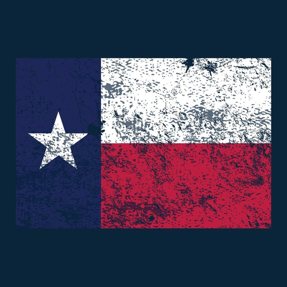 texas flag style vector