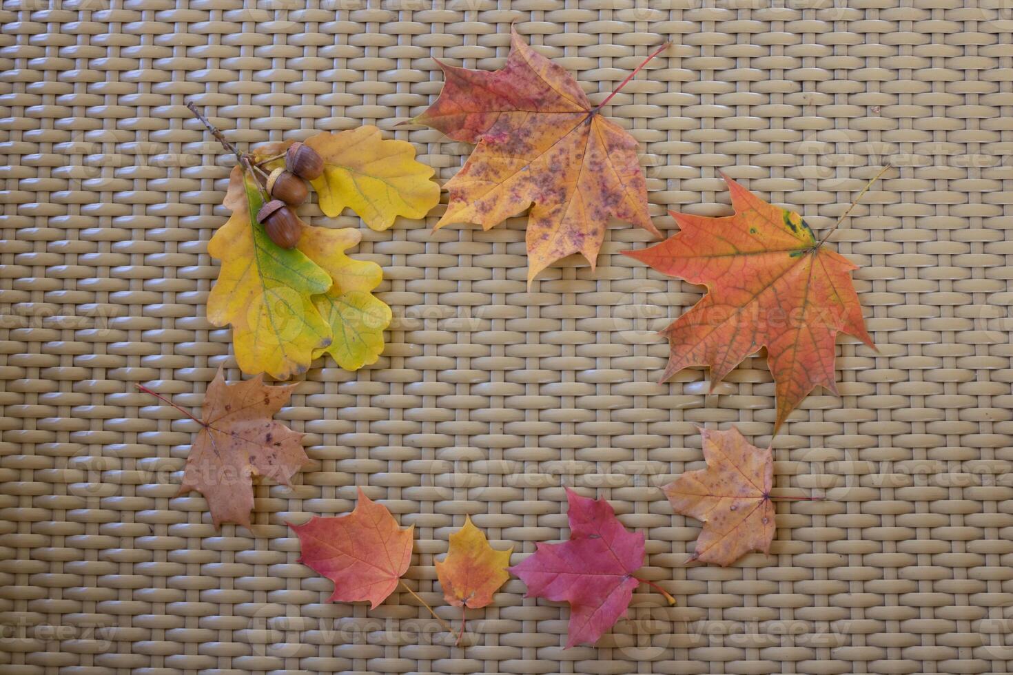 Beautiful frame made of autumn maple and oak leaves. photo