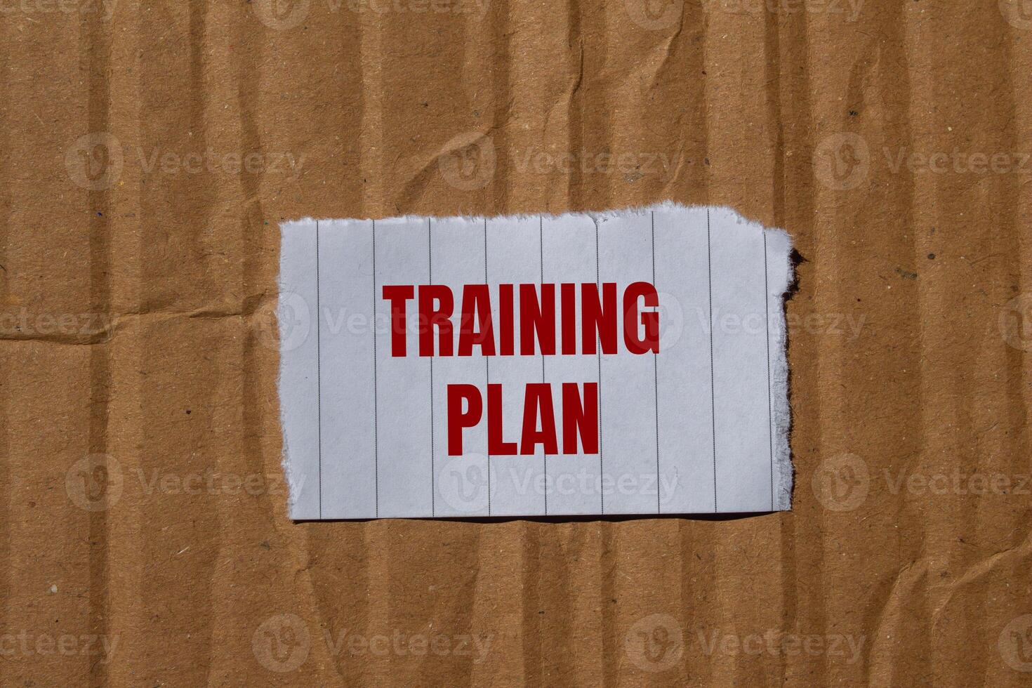 Training plan message written on ripped torn paper with cardboard background. Conceptual training plan symbol. Copy space. photo