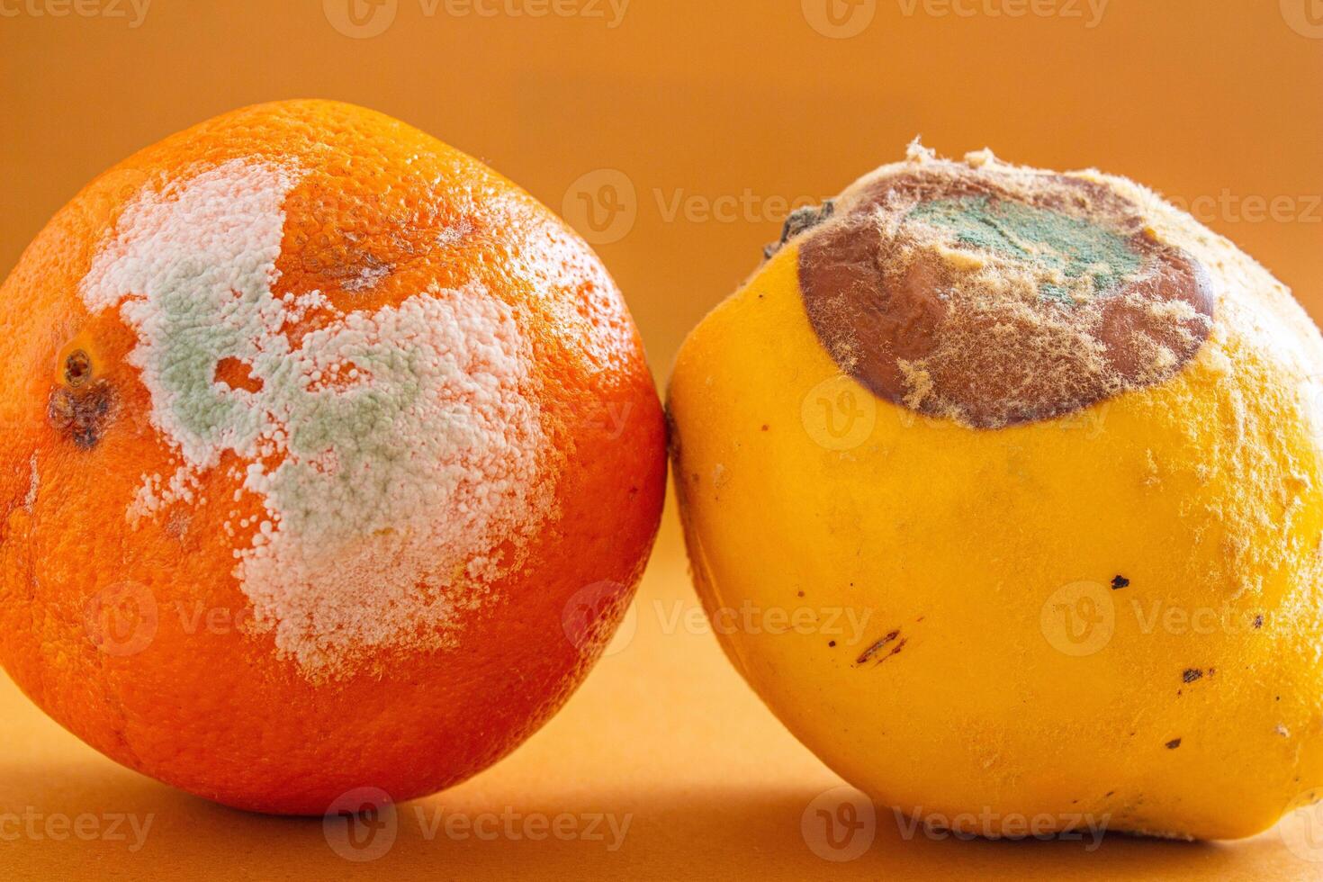 Orange with brown spots photo