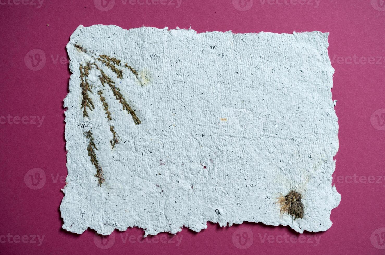A sheet of paper with dried flowers made of recycled paper. Secondary production. Making paper with your own hands at home. photo