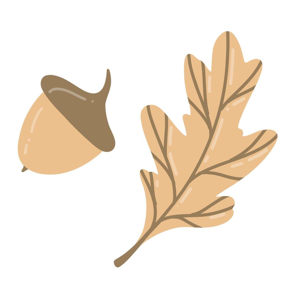 illustration of an acorn and oak leaf in flat style. Elements for autumn design in brown color. Natural floral clipart for cozy compositions on the theme of the harvest festival vector