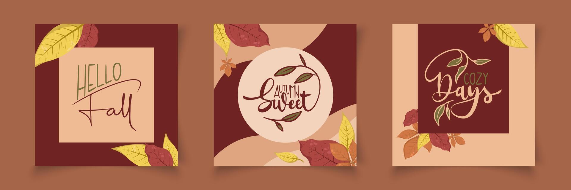 Set of colorful autumn poster with bright beautiful leaves frames vector