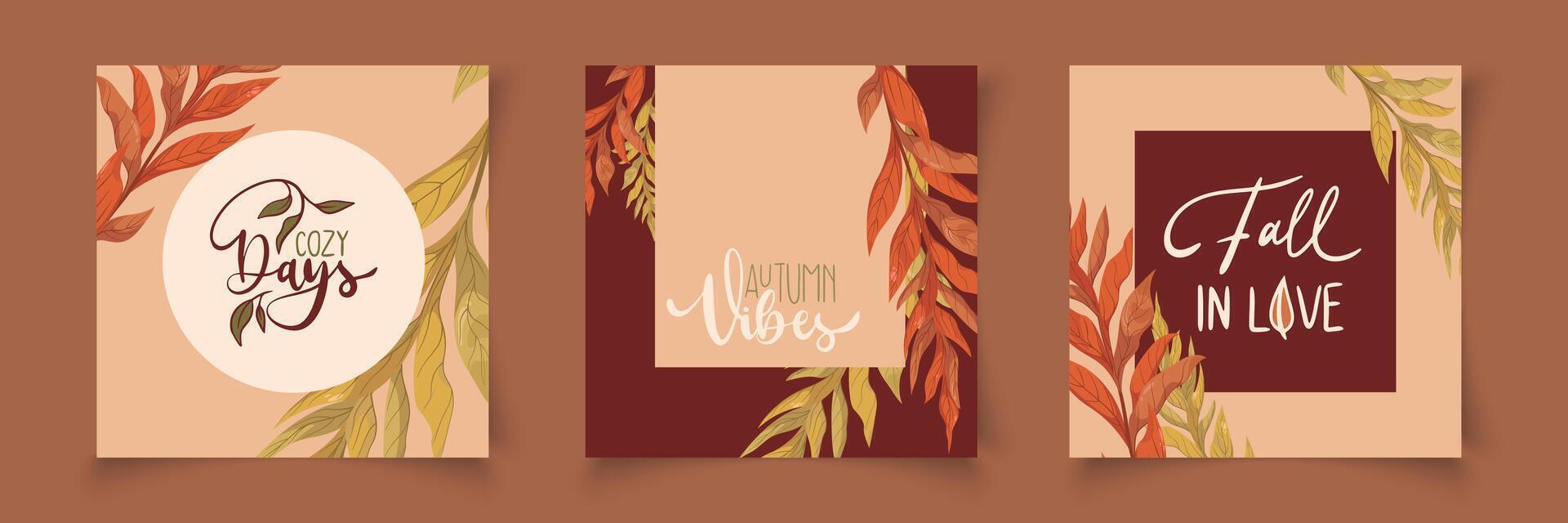 Three banners with leaves and the words fall, thanksgiving and harvest vector