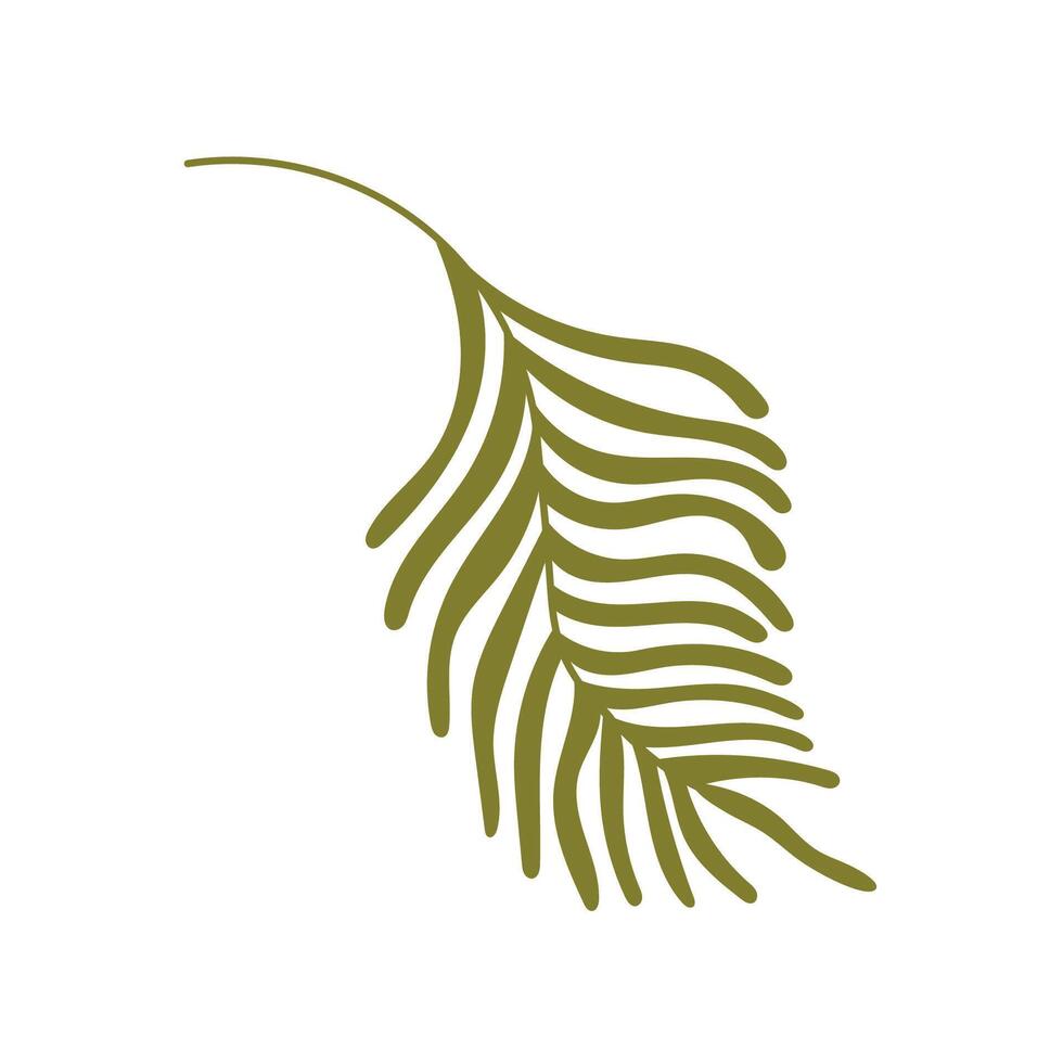 Hand draw tropical fern leaf isolated on white background. illustration in flat doodle style. Exotic single icon of leaf. Green plant,stamp, leaf shape, leaf stencils. vector