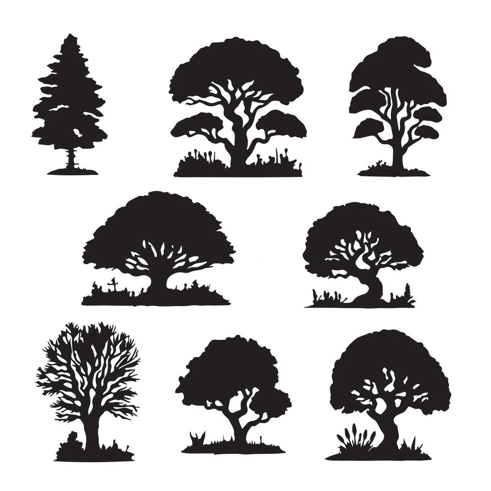 various deciduous trees silhouettes on the white background vector