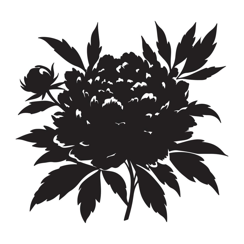 Peonie flower silhouette with white background vector
