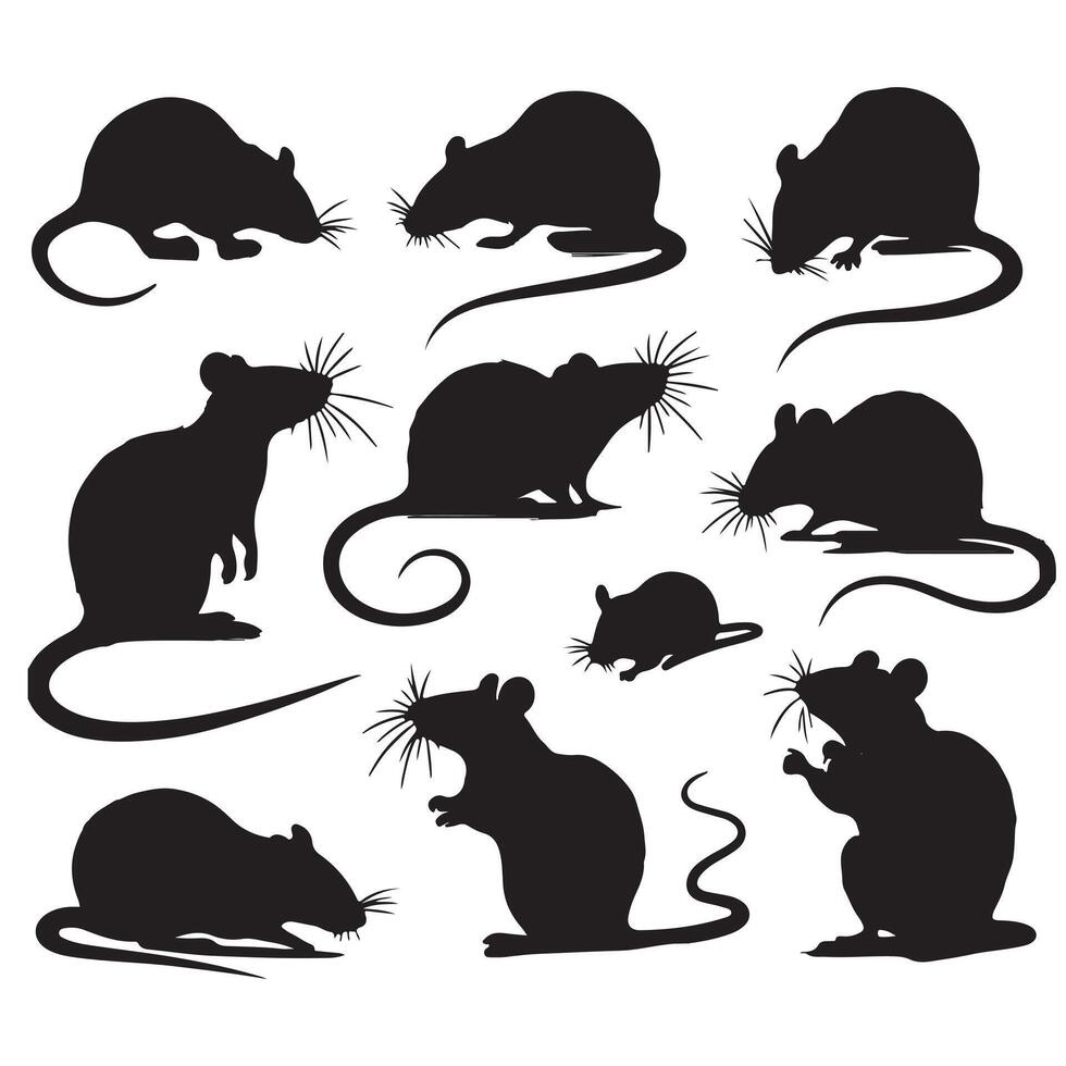 Rat and mouse collection silhouette on white background vector