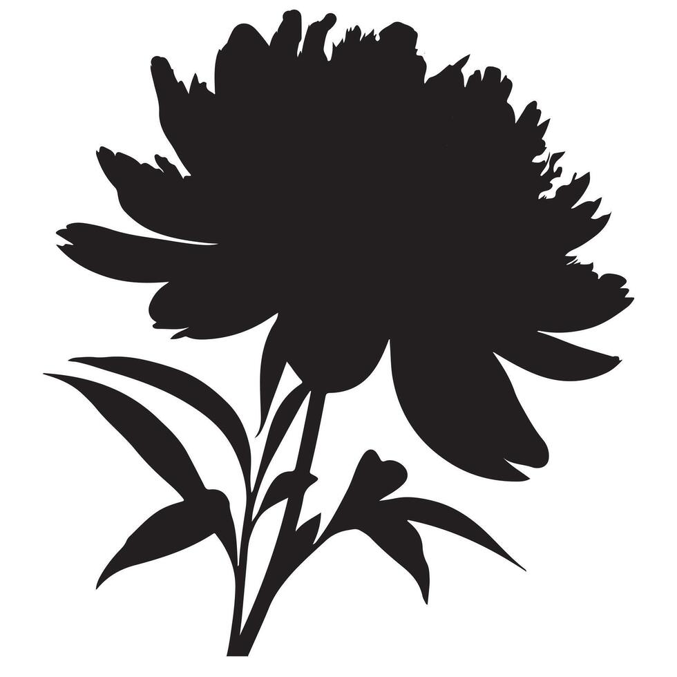 Peonie flower silhouette with white background vector