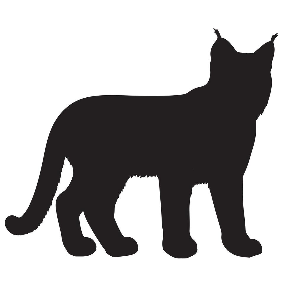 bobcat silhouette on white background vector