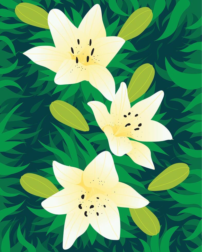 lily flower with leaf background. illustration background vector