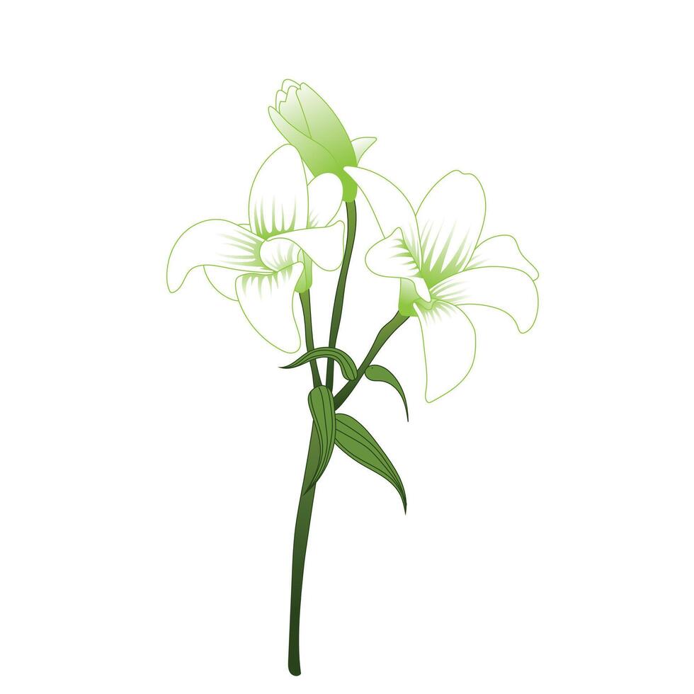 Flowers For Mother's Day, lily flower, illustration with white background vector