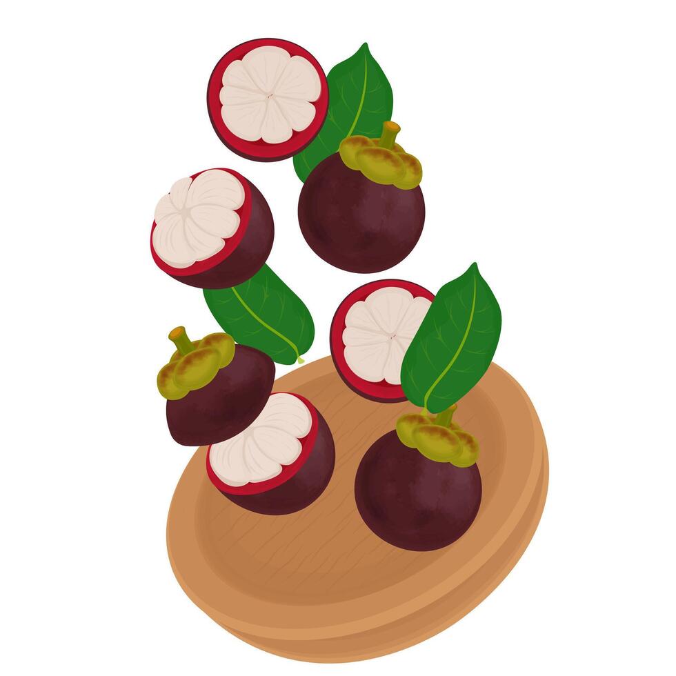 Illustration Logo Clipart Levitation Superfood Mangosteen Tropical Fruit vector
