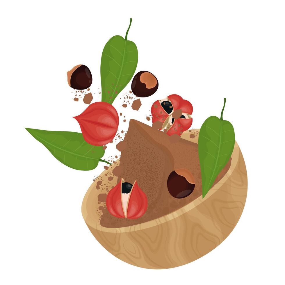 Illustration Logo Clipart Levitation Superfood Guarana fruits with Guarana Powder vector
