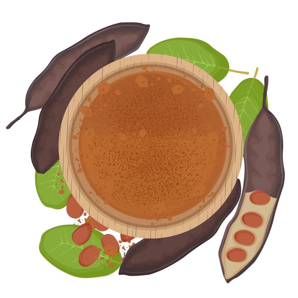 Illustration Logo Clip art Top View Carob pods or Ceratonia Siliqua and Carob Powder vector