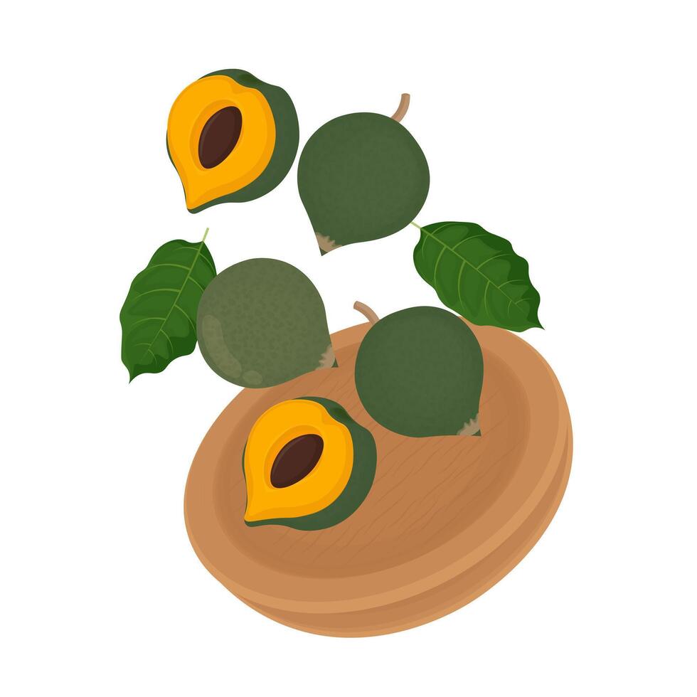 Illustration Logo Clipart levitation Superfood Canistel Fruit or Pouteria lucuma on a wooden plate vector