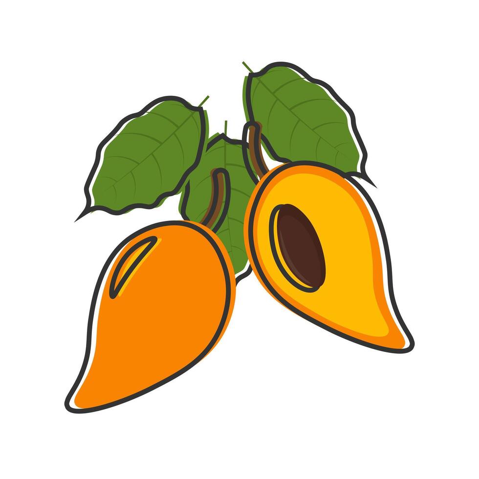 Illustration Logo Clipart Cartoon Canistel Fruit or Pouteria lucuma vector