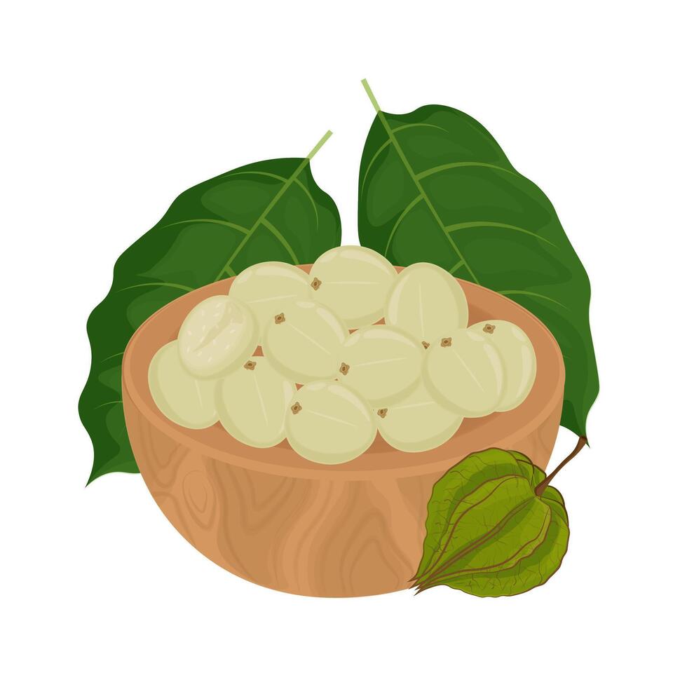 Illustration Logo Clipart Superfood Physalis Ciplukan Fruits on a Wooden Bowl vector