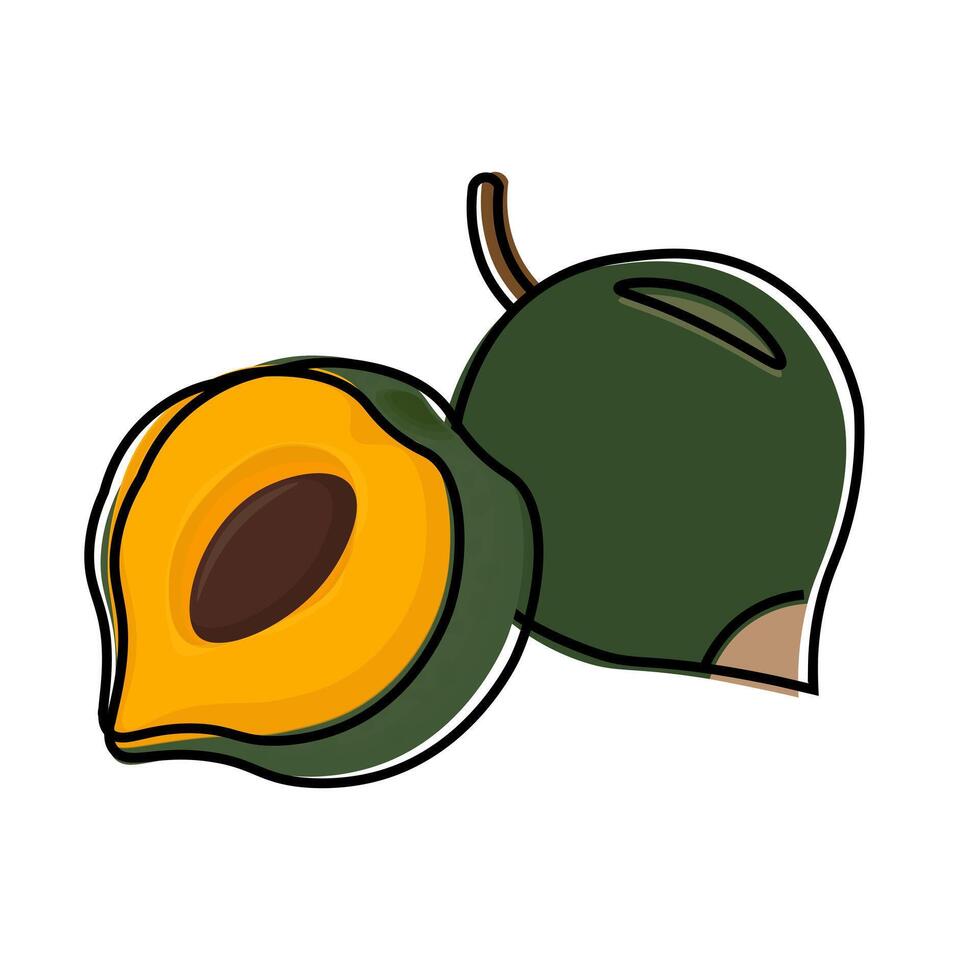 Illustration Logo Clipart Simple Cartoon Superfood Pouteria lucuma vector