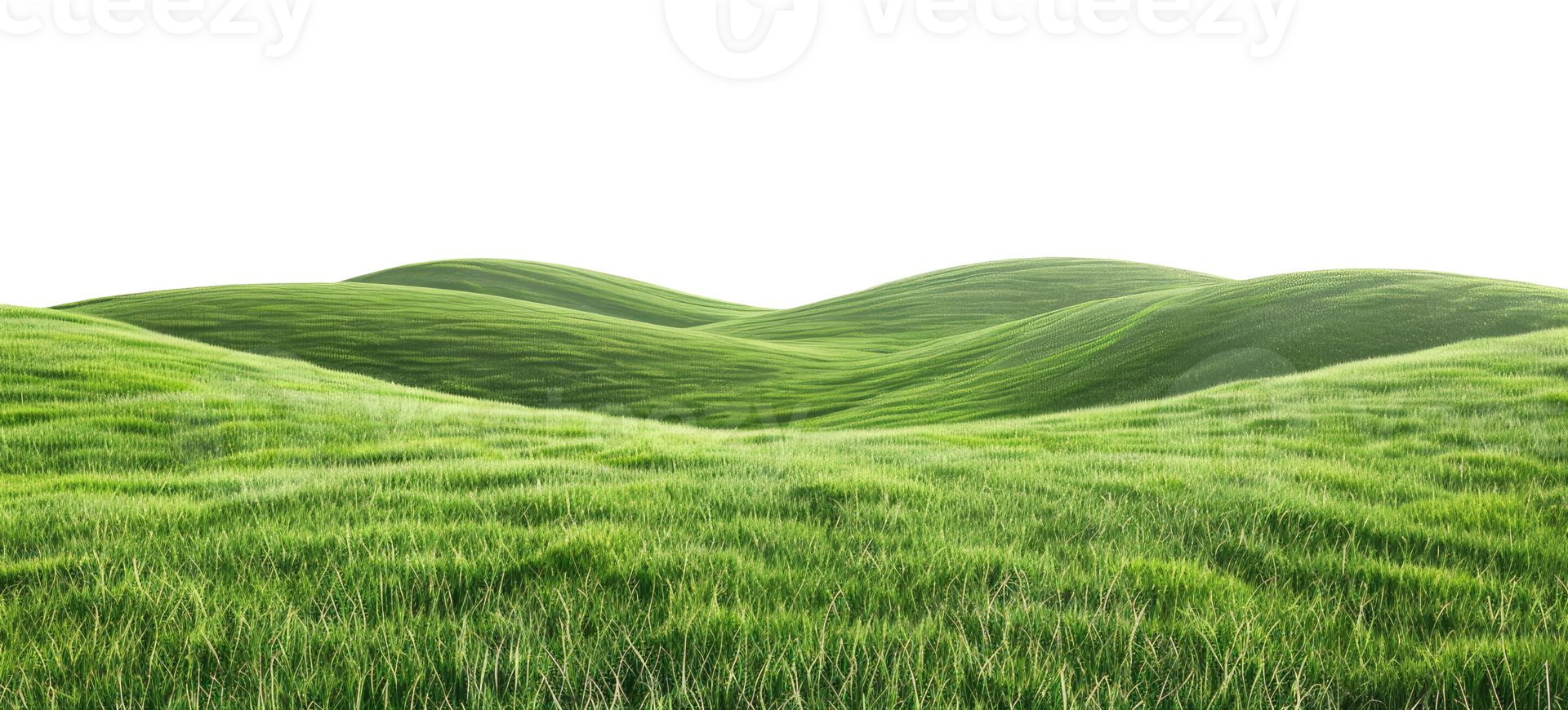 Green Grassy Field png