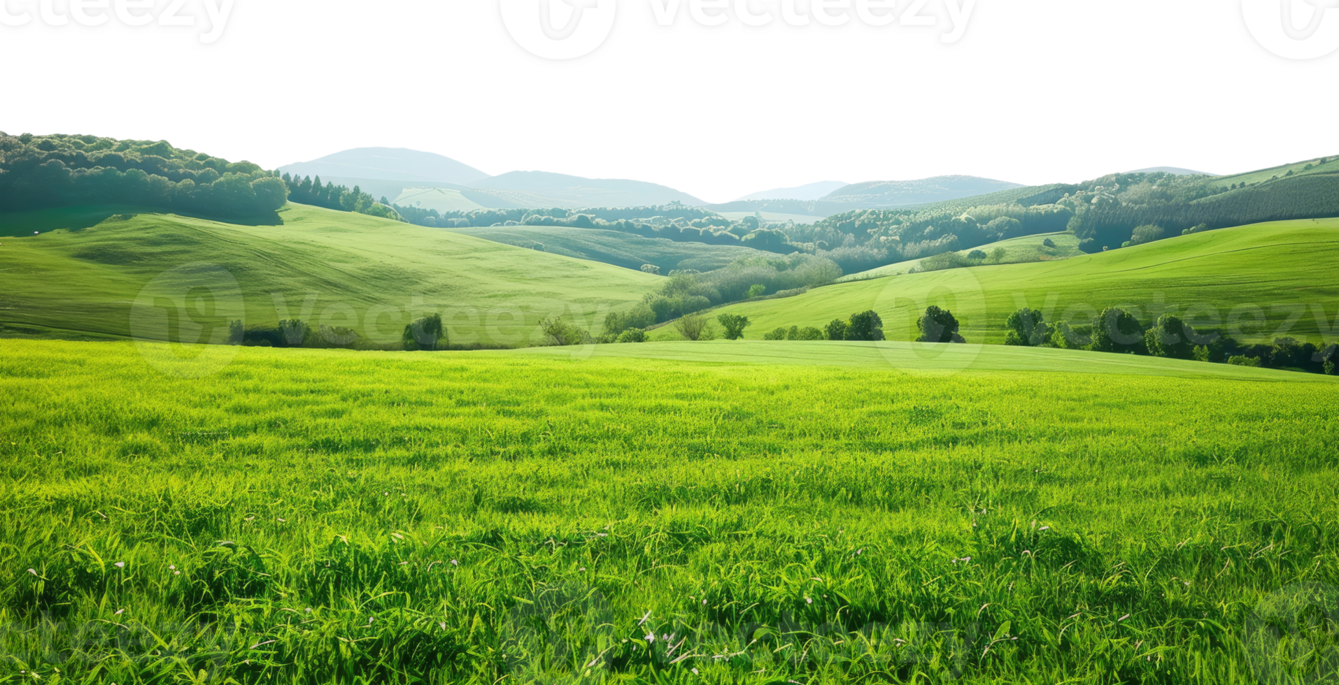 Countryside Landscape with Green Field png