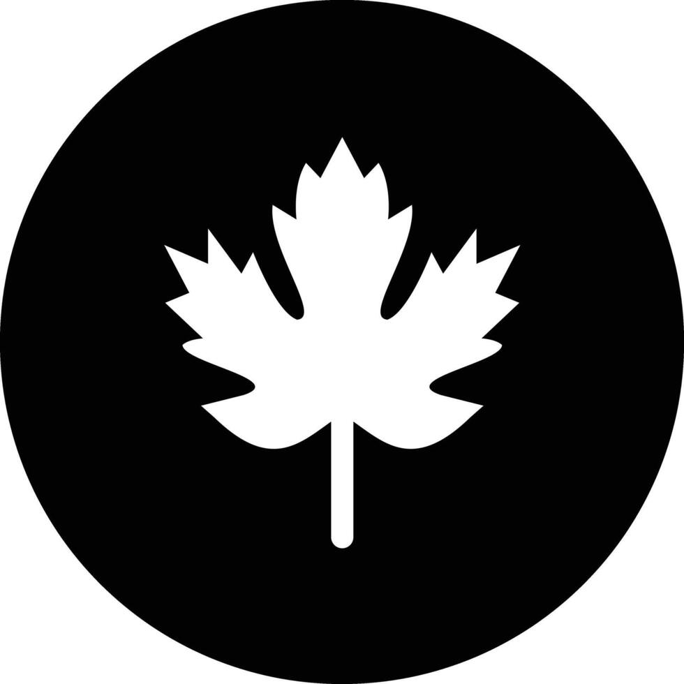 Maple Icon Design Illustration vector