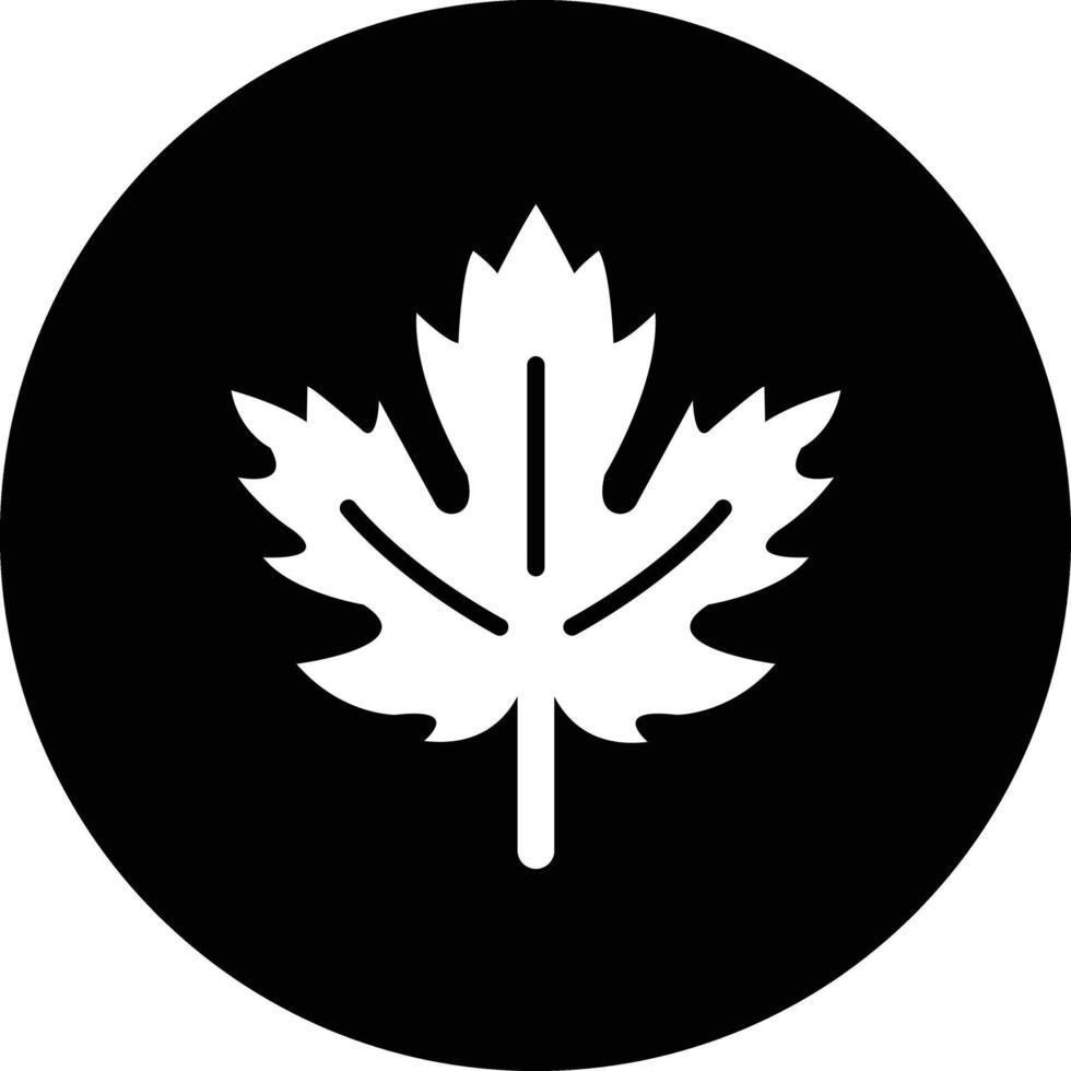 Maple leaf Icon Design Illustration vector