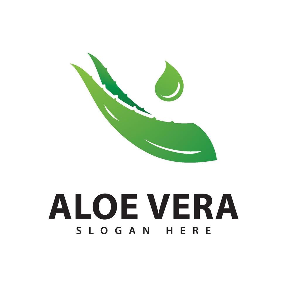 Aloe Vera Logo Design Template vector
