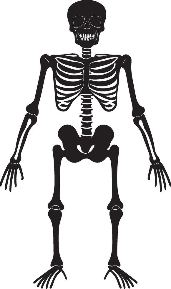 Skeleton halloween silhouette black vector
