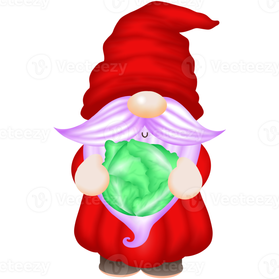gnome and vegetables png