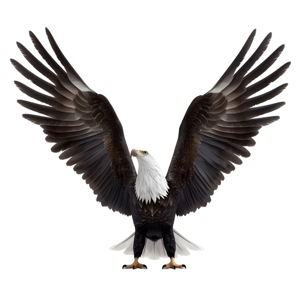 3d eagle rendering with open wings transparent background png