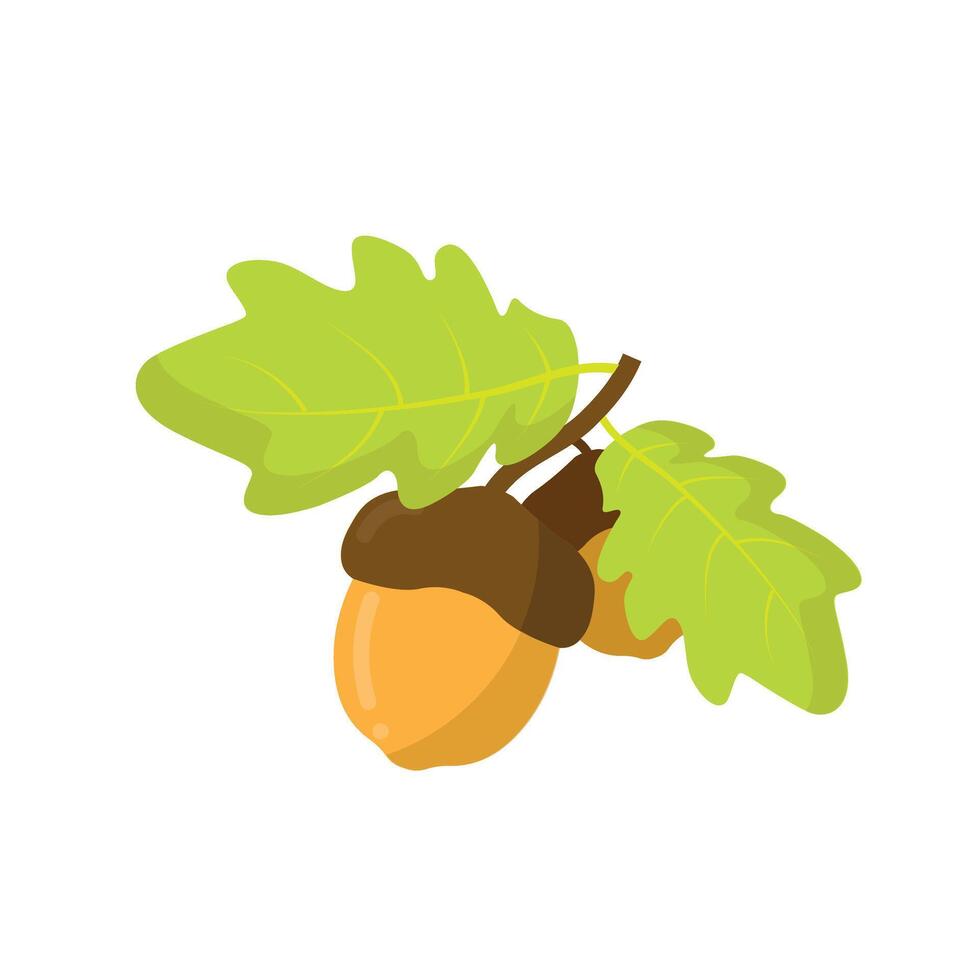 Acorn cartoon. Brown acorn cartoon. Autumn cartoon. Digital art illustration. vector
