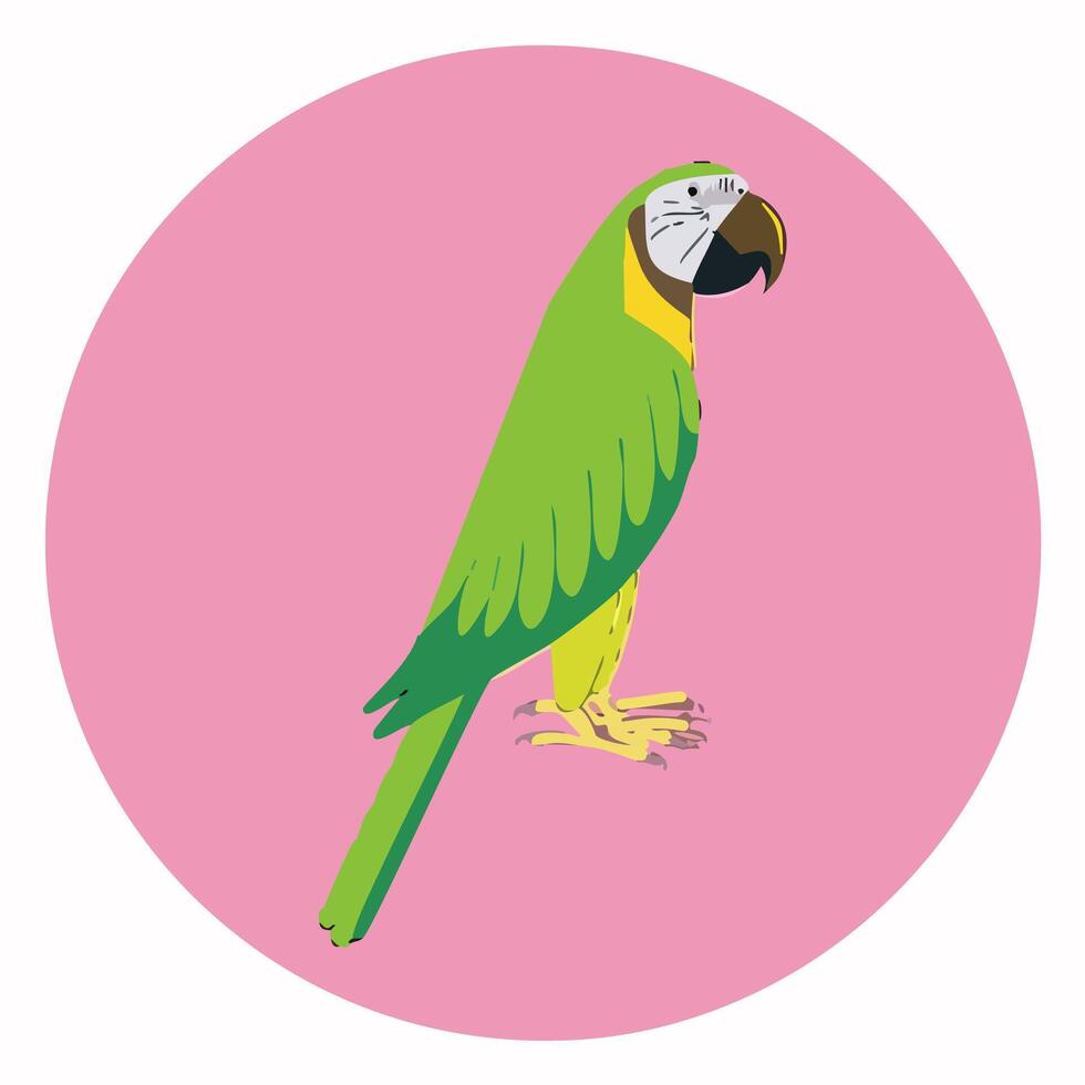 Parrot icon. illustration of a green parrot on a pink background. vector