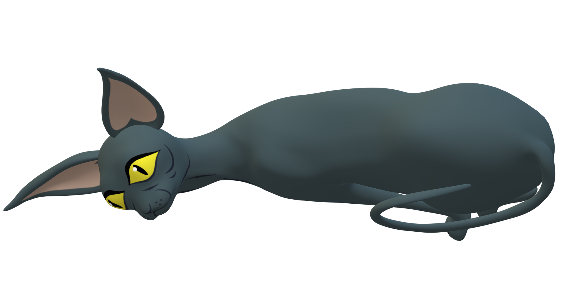 Innocent Cat isolated on a Transparent Background png