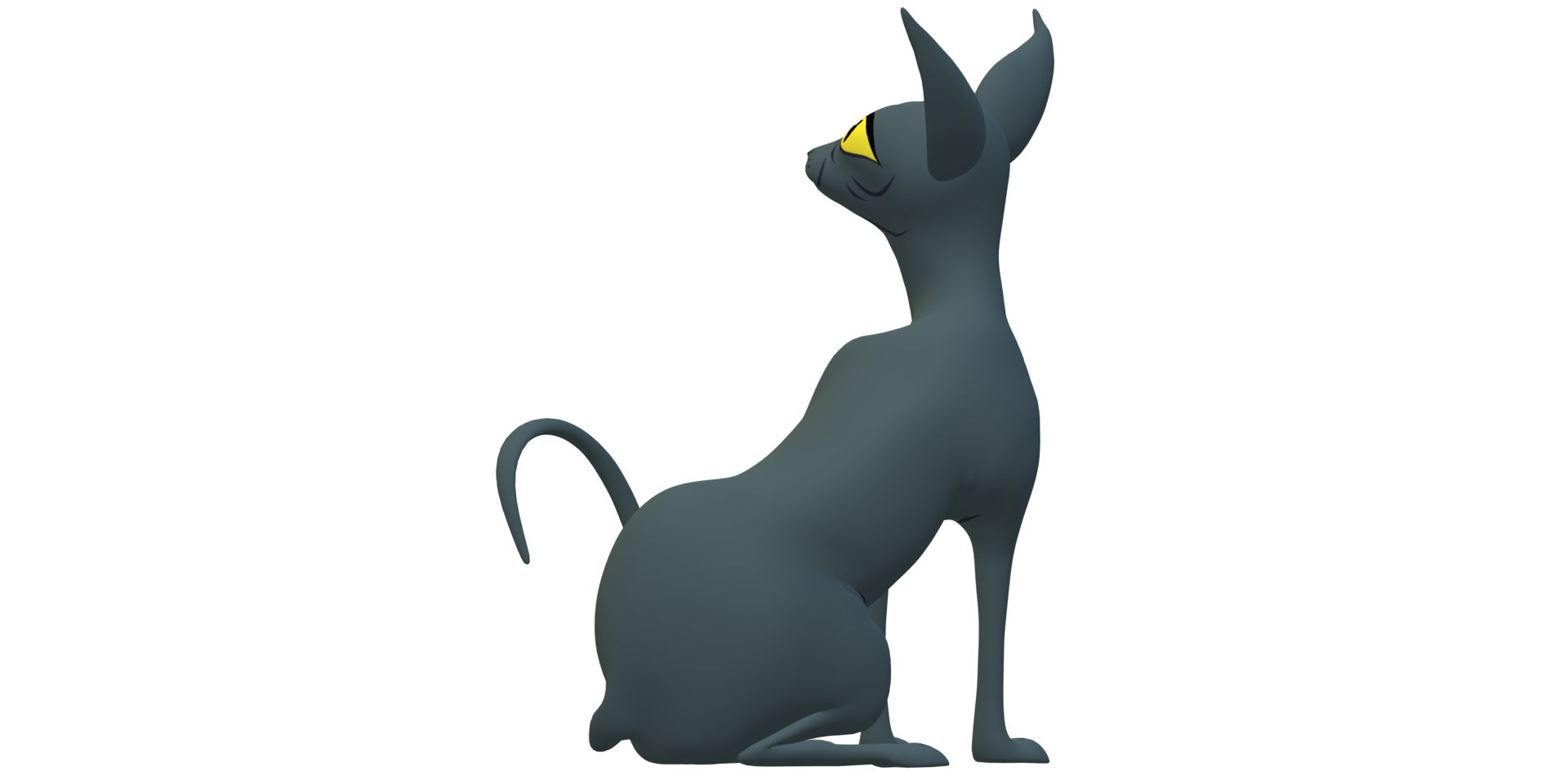 Grey pretty Cat isolated on a Transparent Background png