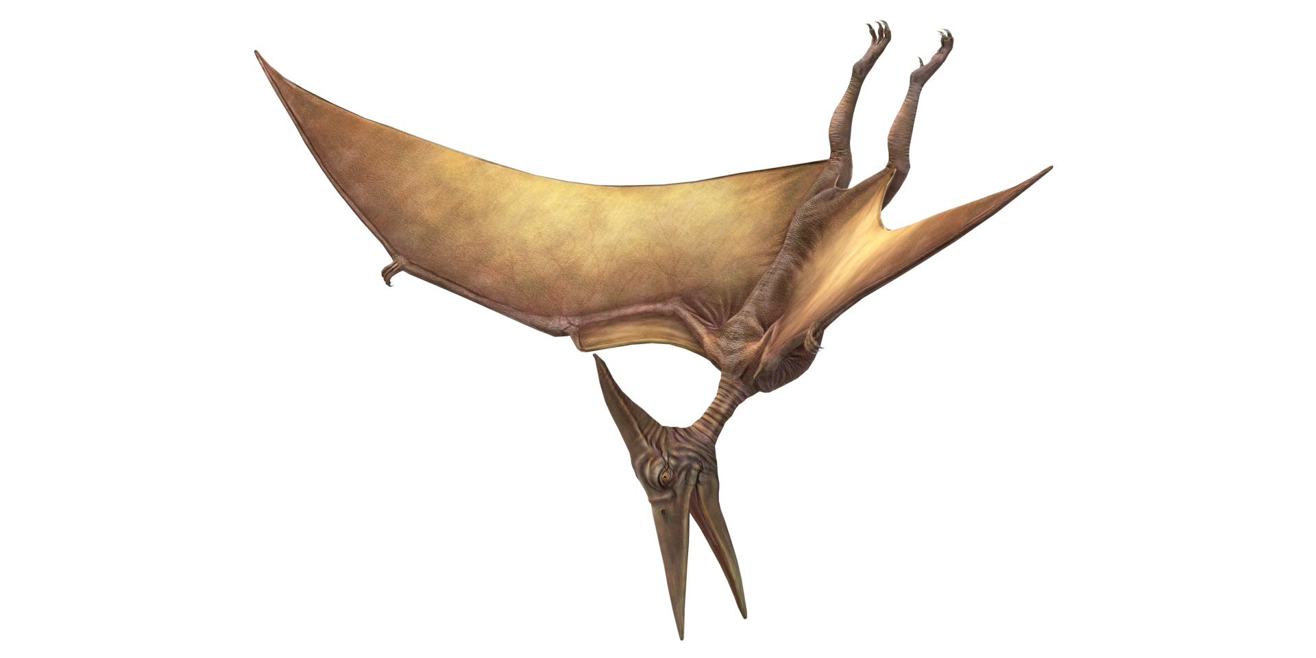 Hunting Pterodactyls isolated on a Transparent Background png