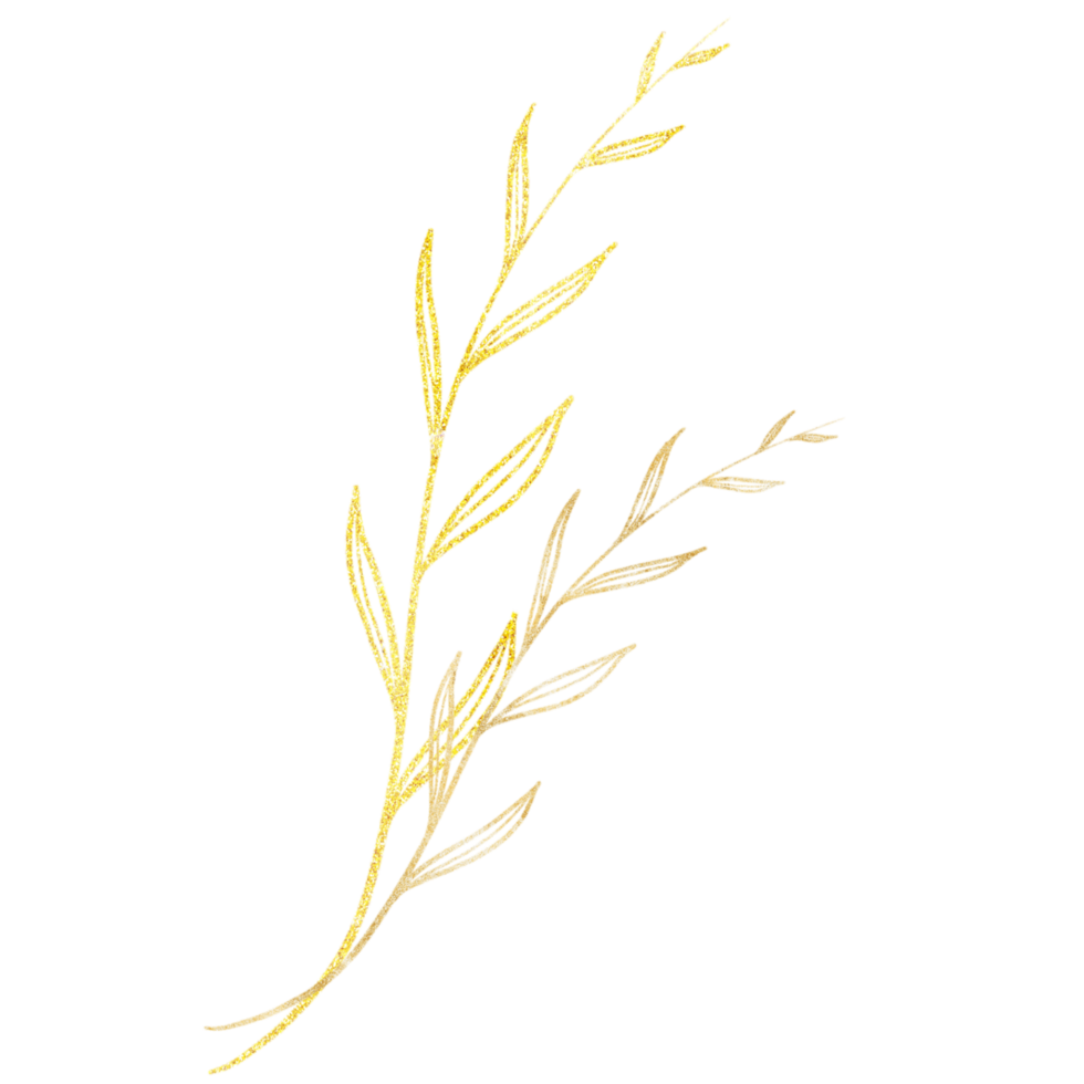 Golden leaves on a transparent background png