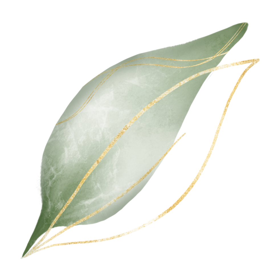 A green leaf with gold lines on a transparent background png