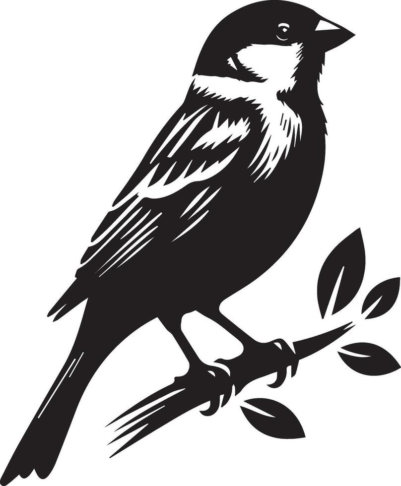Sparrow silhouette illustration. Sparrow vector