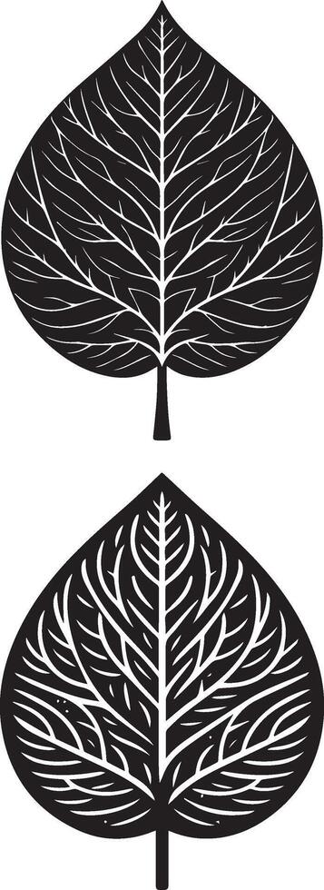 two leaves with different designs on them vector