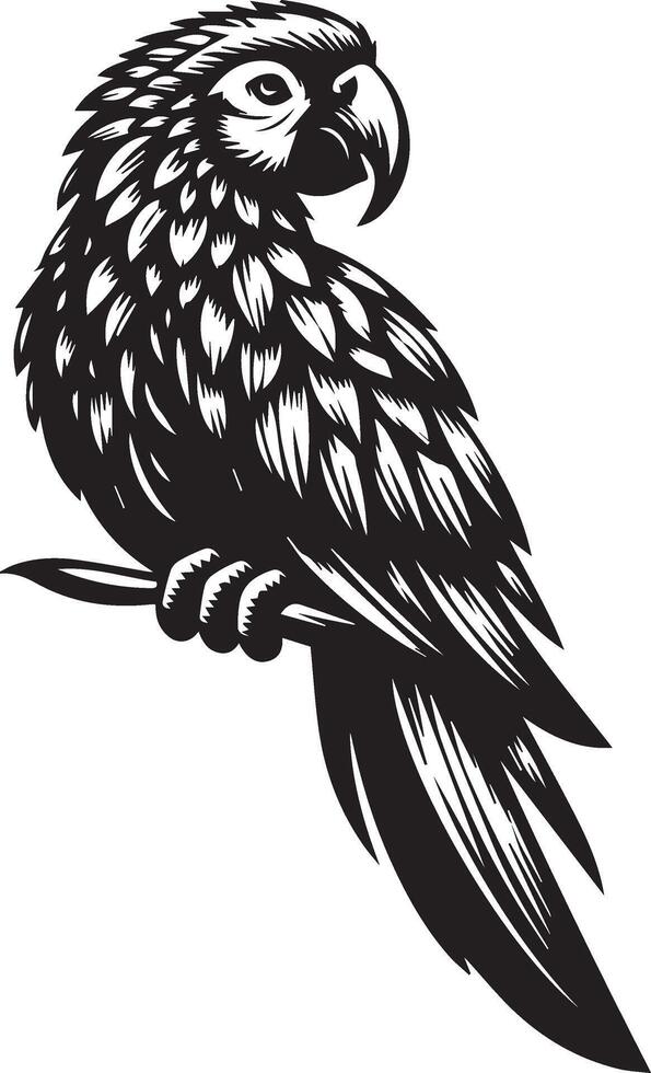 Macaw a parrot silhouette illustration vector