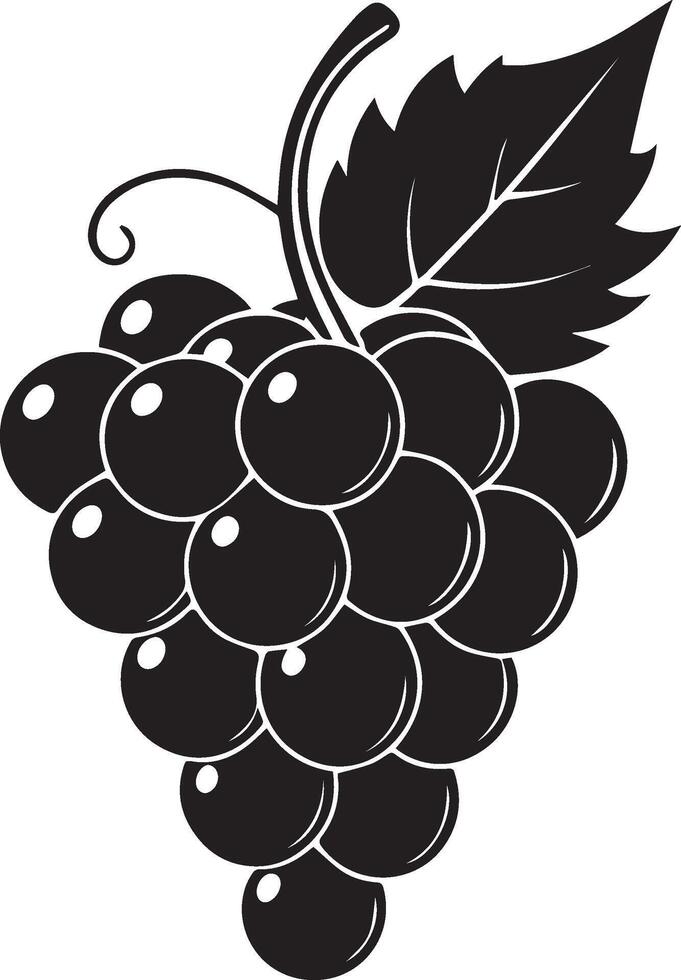 negro uvas en un blanco antecedentes vector