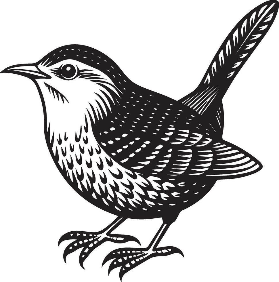 a black and white drawing of a wren vector