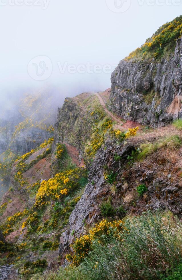 A mountain covered in fog and clouds. Madeira island, Portugal photo